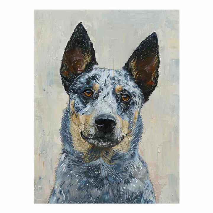 Blue Heeler