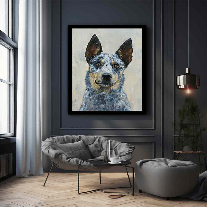 Blue Heeler 