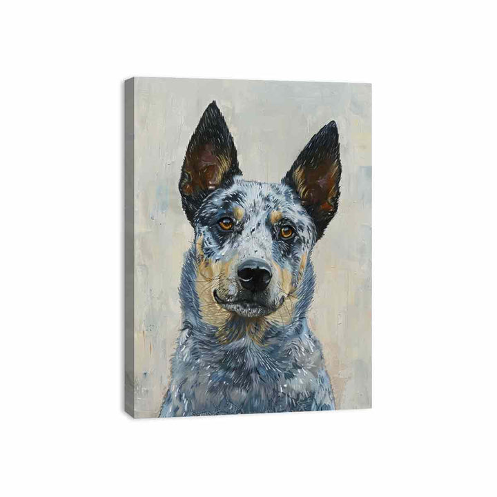 Blue Heeler Canvas Print