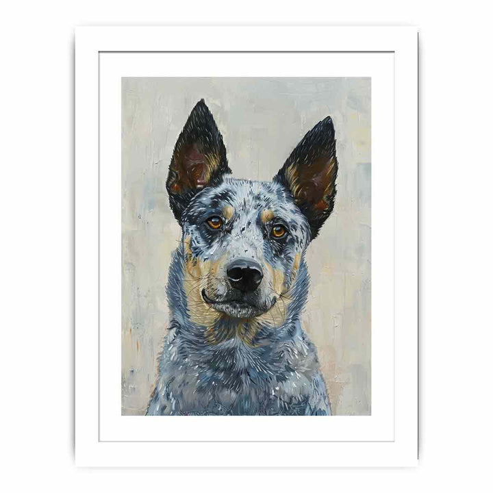 Blue Heeler Streched canvas