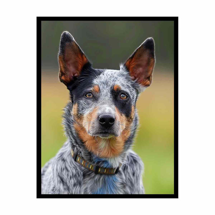 Cattle Dog  Painting