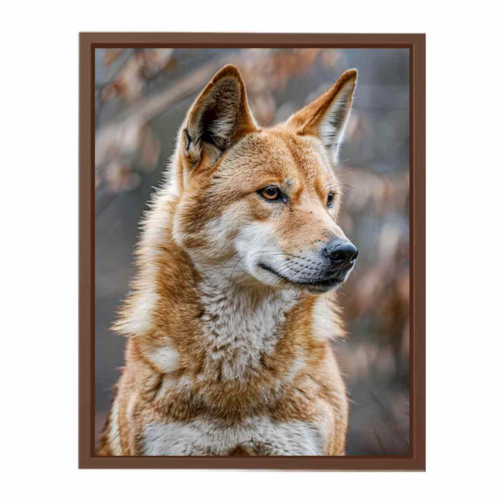 Dingo  Poster