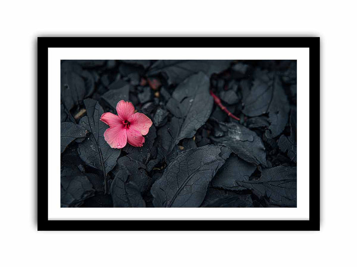 Flowering Ash  Art Print