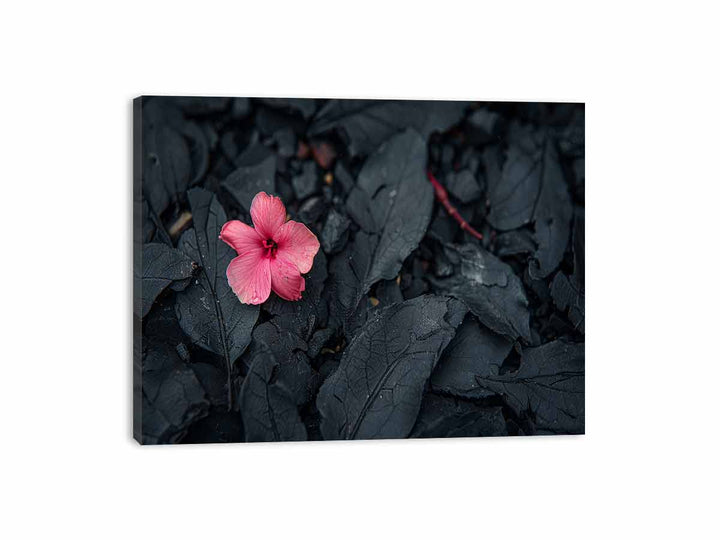 Flowering Ash Canvas Print