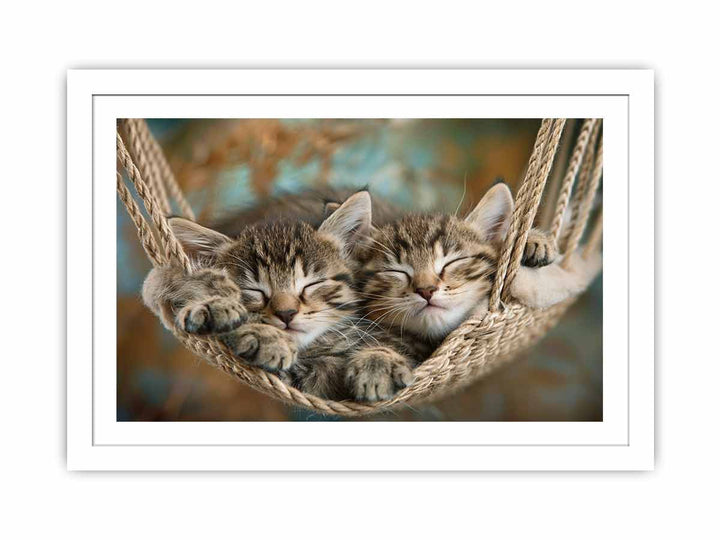 Cute Kittens Streched canvas