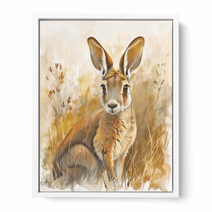 Wallaby Framed Print