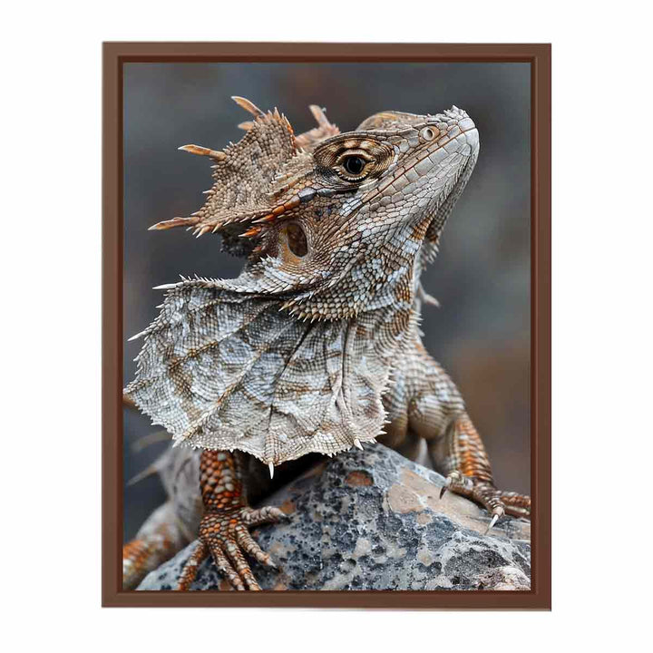 Frilled Neck Lizard  Poster