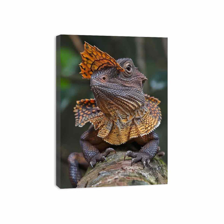 Frilled Neck Canvas Print