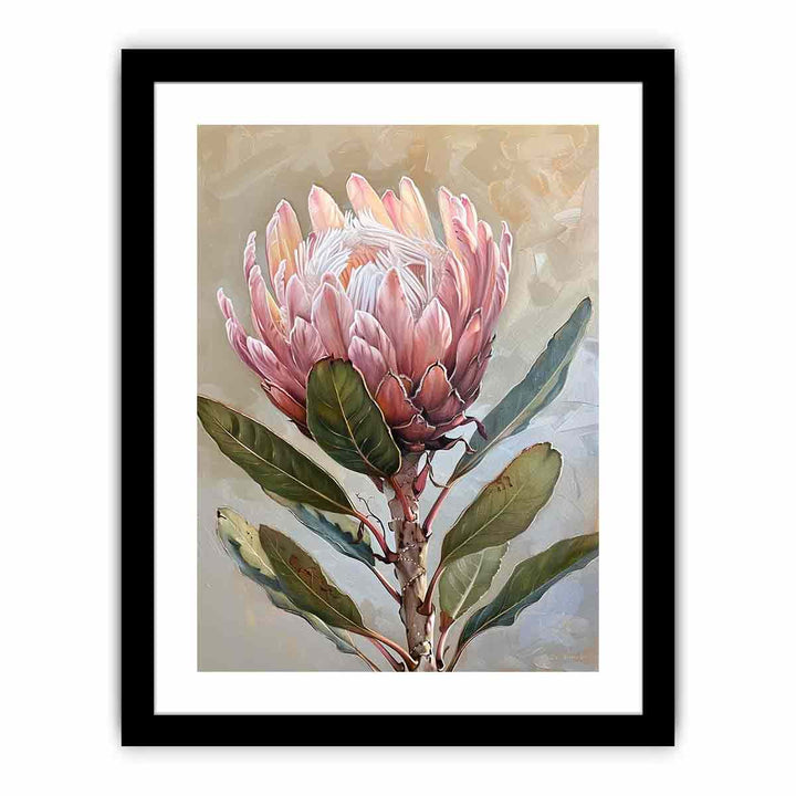 Protea Wall art  Art Print