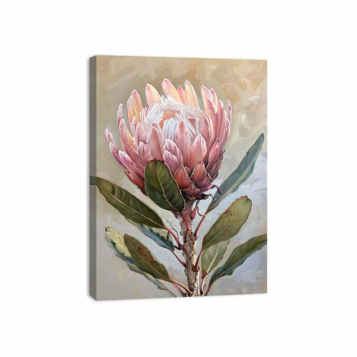 Protea Wall art Canvas Print