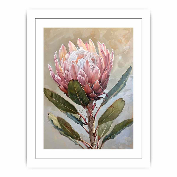 Protea Wall art Streched canvas