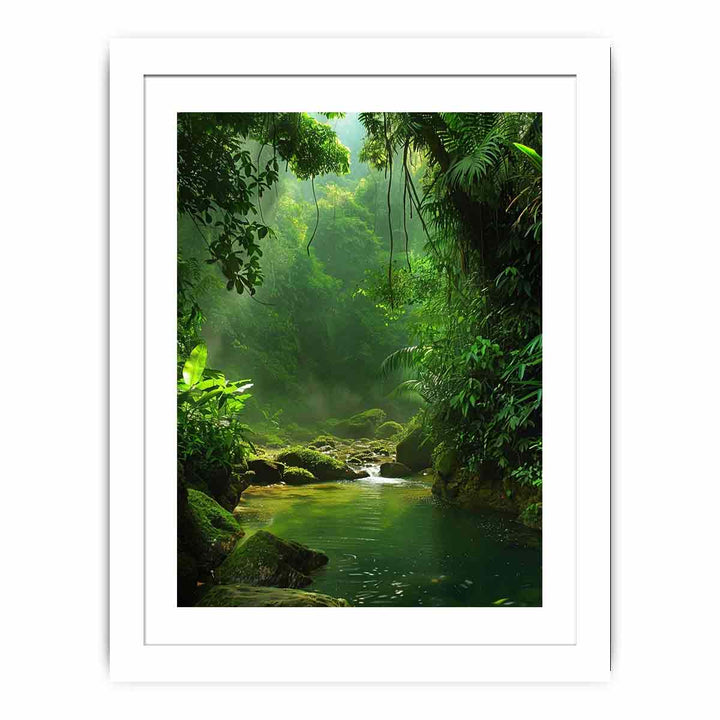 Amazon Forest Streched canvas