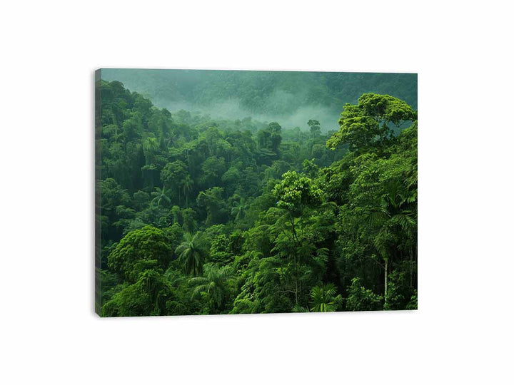 Rainforest Canvas Print