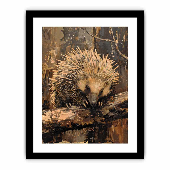 Echidna  Art Print