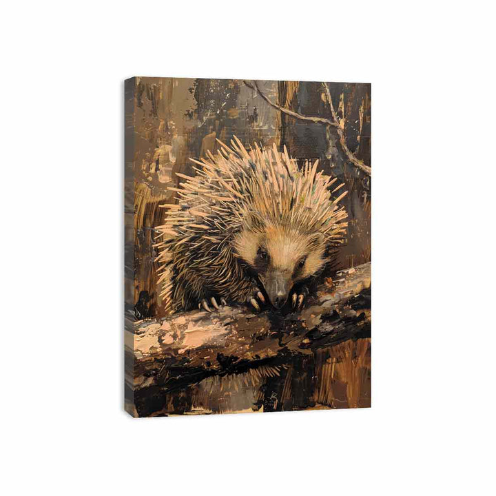 Echidna Canvas Print