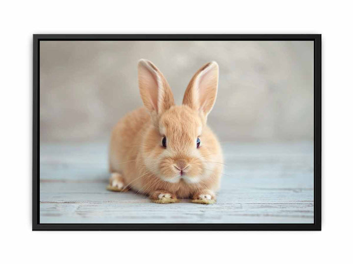 Cute Rabbit  Painting