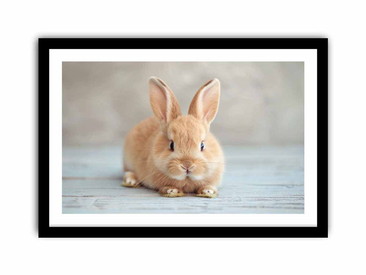 Cute Rabbit  Art Print