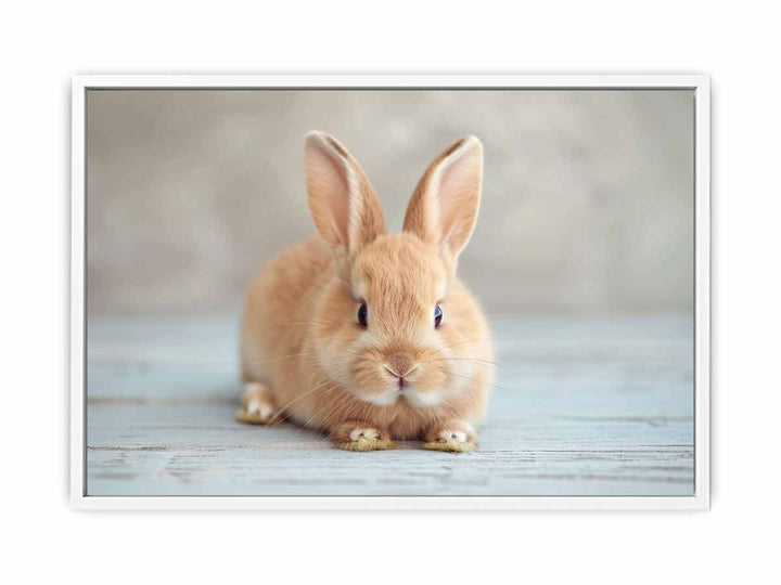 Cute Rabbit Framed Print