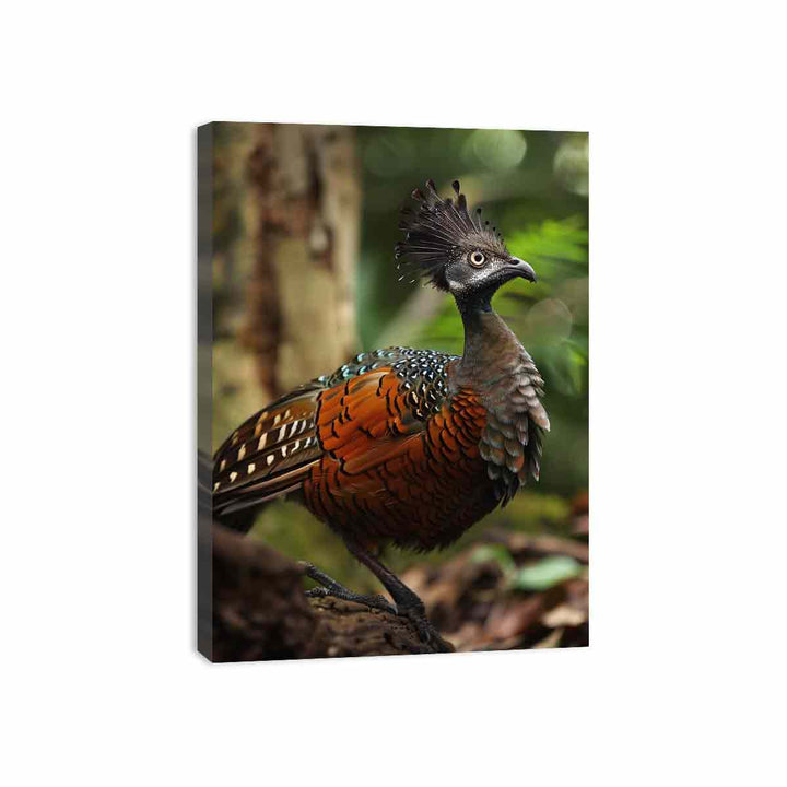 Lyrebird Canvas Print