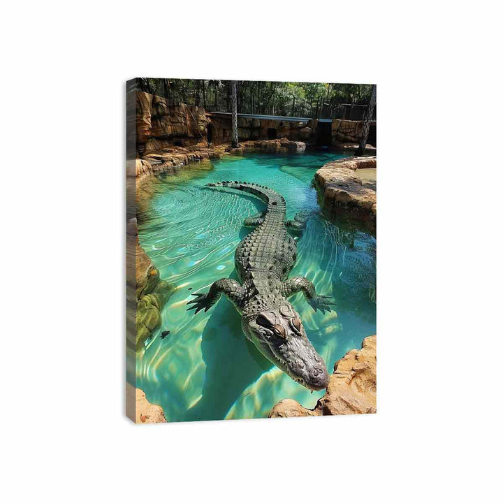 Saltwater Crocodile Canvas Print