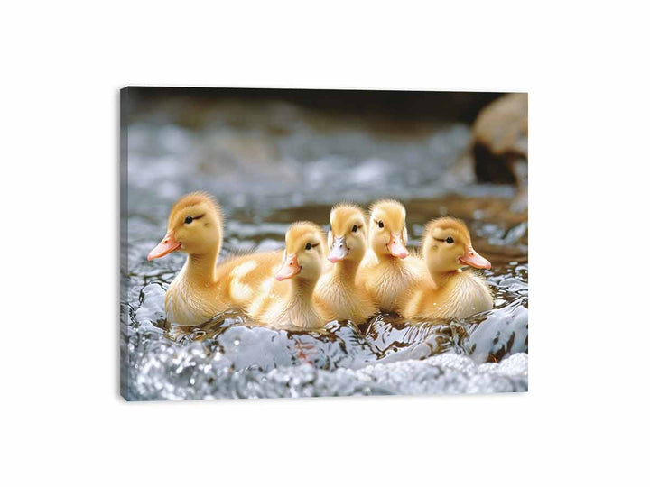 Cute Ducks Canvas Print