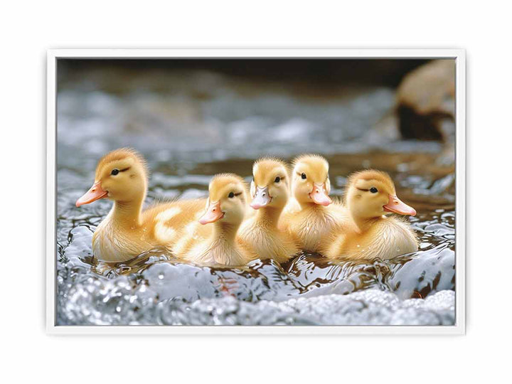 Cute Ducks Framed Print