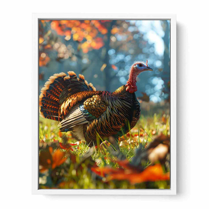 Turkey  Framed Print