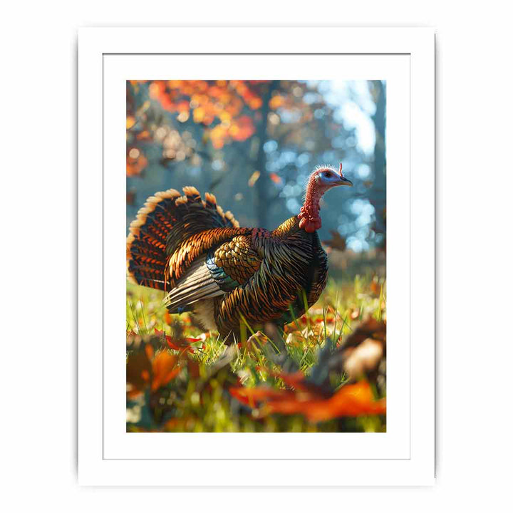 Turkey  Streched canvas