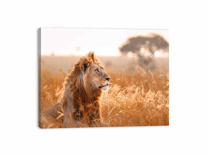 Lion Portrait  Canvas Print