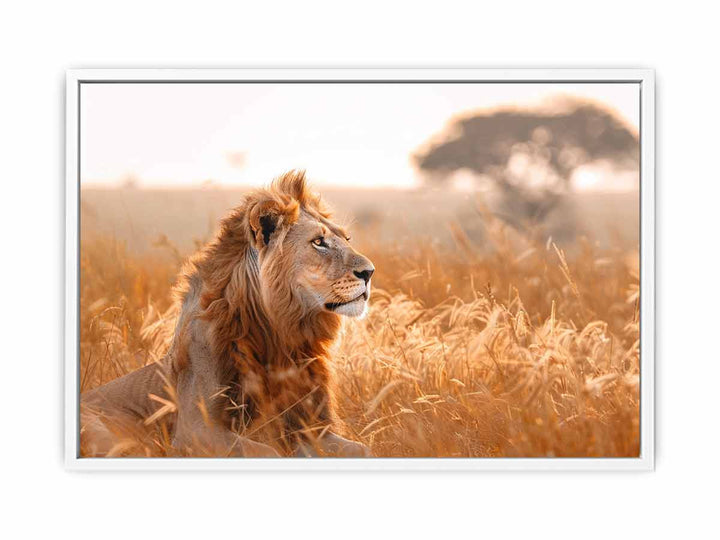 Lion Portrait  Framed Print