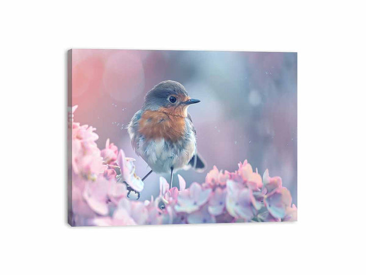 Little Robin  Canvas Print