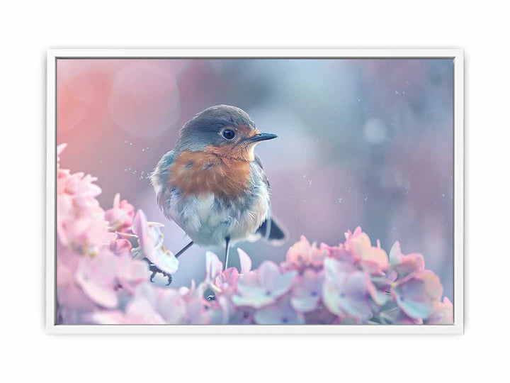 Little Robin  Framed Print