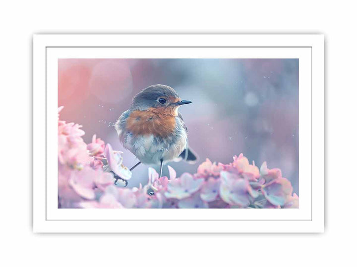 Little Robin  Streched canvas