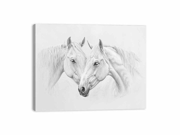 Two Horses  Canvas Print