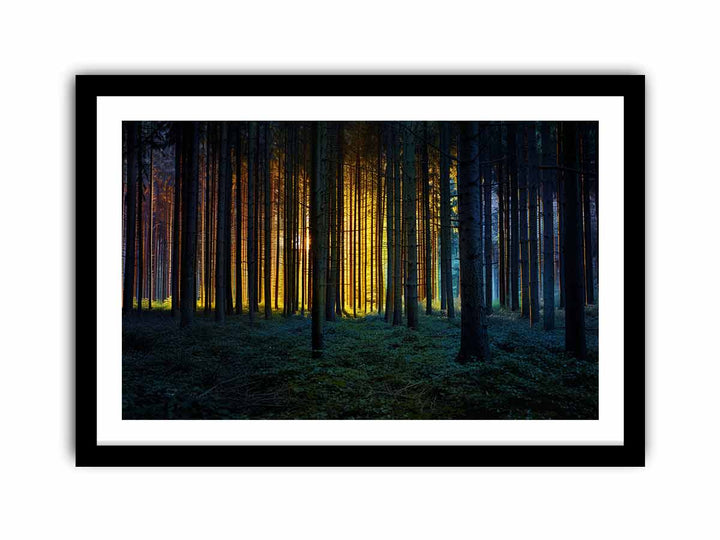 Colorful Forest  Art Print