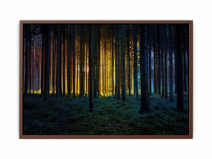 Colorful Forest  Poster