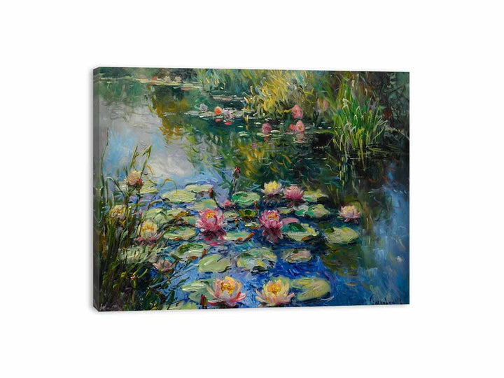 Lily In Lake  Canvas Print