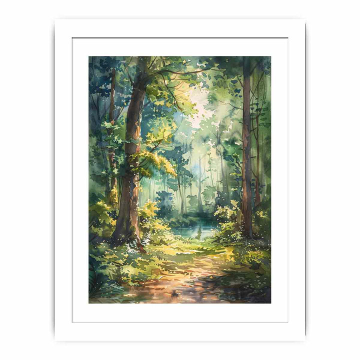 Forest Path  Streched canvas