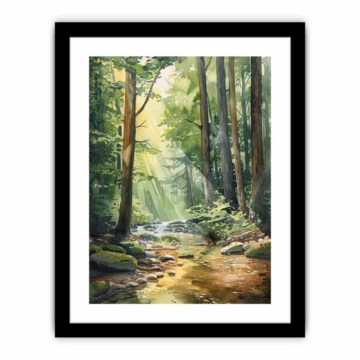 Forest Path   Art Print