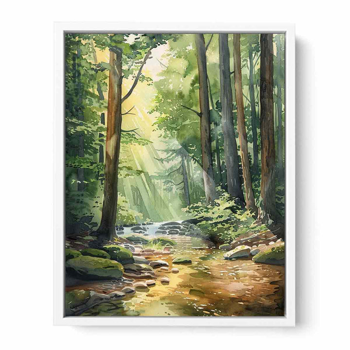 Forest Path  Framed Print