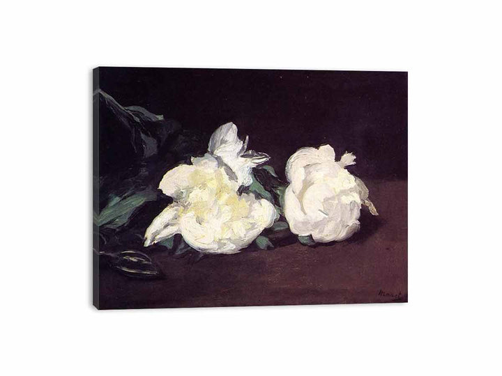 Branch of White Peonies and Secateurs Canvas Print