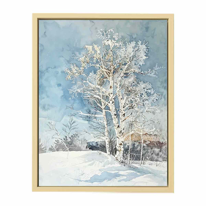 White Brich tree  Framed Print